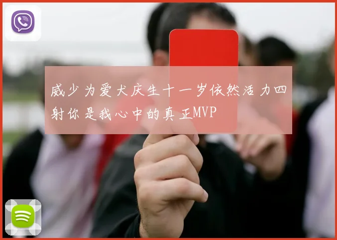 威少为爱犬庆生十一岁依然活力四射你是我心中的真正MVP