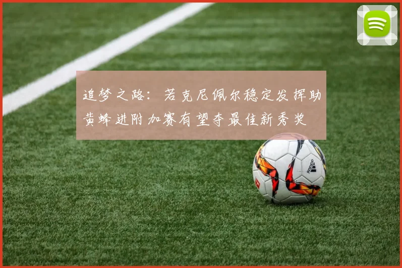 追梦之路：若克尼佩尔稳定发挥助黄蜂进附加赛有望夺最佳新秀奖